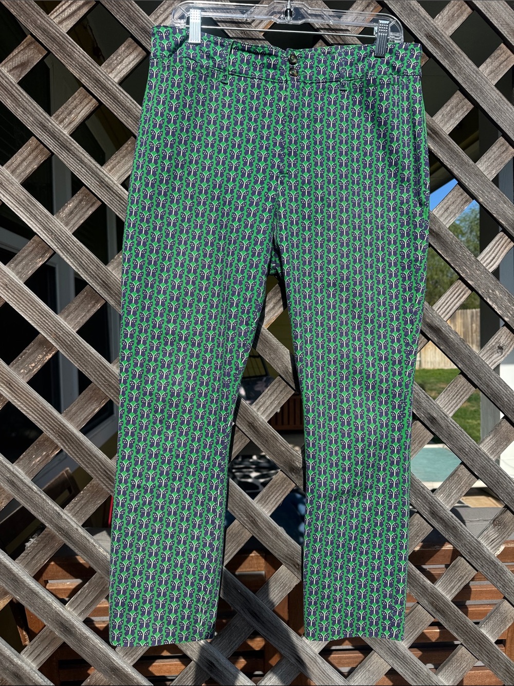 Anthropologie Green and Purple Butterfly Patterned Women’s Pants
